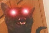 1676058819086203