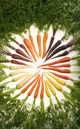 Carrots_of_many_colors