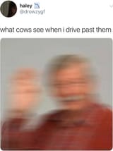 1727399618375461