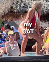 watching-tv-my-cat
