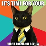 importantcatstuff
