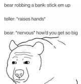 bear-robbing-bank-stick-em-up-teller-raises-hands-bear-nervous-d-get-so-big