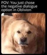 pov-just-chose-negative-dialogue-option-oblivion (1)