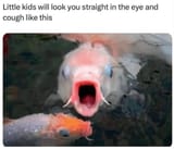 little-kids-will-look-straight-eye-and-cough-like-this