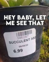 funny-pictures-5-2-25-2