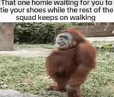 one-homie-waiting-tie-shoes-while-rest-squad-keeps-on-walking