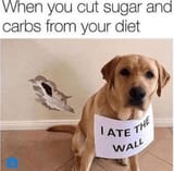 cut-sugar-and-carbs-diet-iate-wall
