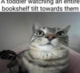 toddler-watching-an-entire-bookshelf-tilt-towards-them
