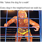 person-takes-dog-walk-every-dog-neighborhood-walk-by-atomicelbow-n-weight-axering-champion-mth-r