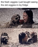 fresh-veggies-just-bought-seeing-old-veggies-my-fridge-prettycooltim