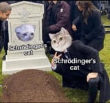 schrödingers-cat-schrödingers-cat