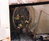 Chernobylite_(element)