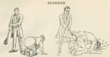 spanker