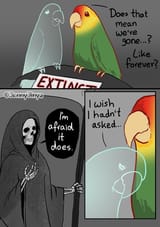 animal-does-mean-gone-like-forever-extiang-cjennyjinya-wish-hadnt-asked-afraid-does