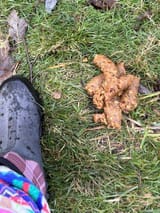 images (1)