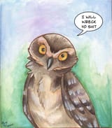 Owl wreck your shit 4f0158e2bcaf067d31b3d81972abb3d3