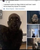 1743228085213056