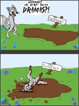 drama pit