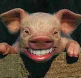 pig-lipstick_0012