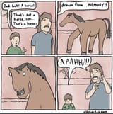 Horse drawn from memory