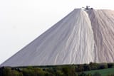 salt. so much salt 1535215921546