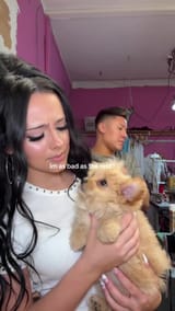 vlcsnap-2025-07-10-16h26m44s600
