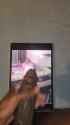1000021503_thumb.jpg
