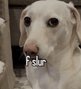 fslur