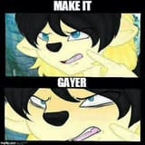 makeitgayer