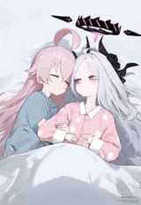 Sorasaki Hina, BlueArchive, Blue Archive 小鳥遊ホシノと空崎ヒナ