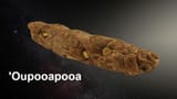 oupooapooa