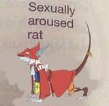Freya hte sexually aroused rat 1636485148011