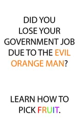 1723048367627859