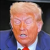 withering tangerine husk