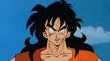 yamchucool