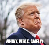 whiny weak smelly