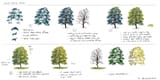 philipp-a-urlich-tree-process