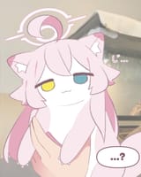 cat hos