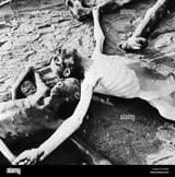 images (15) (1)