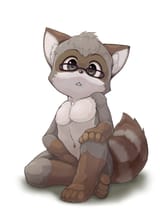 1495995_yojoo_raccoon