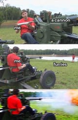 5cf9f6ccf3dcb