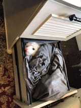 my sleeper cabin