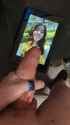 1736735035710406_thumb.jpg