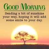good morning