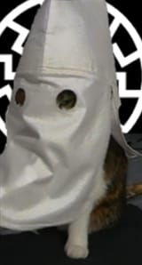 19382361