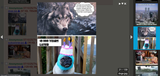 gallery feature 