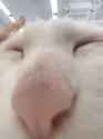 1798498461_thumb.jpg