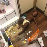 nigger baby