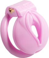 chastity vulva2