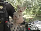 cop.cat...........